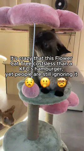 My babies love this toy!🥺🥺#cattree #cat #tiktokmademebuyit #tiktokshop #tiktok #petinfluencer #cute #erommy #erommy_furniture 