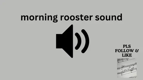 morning rooster sound #sound #soundsfx #soundfx #soundeffect #soundeffects #soundsfx #sounds #morningsound