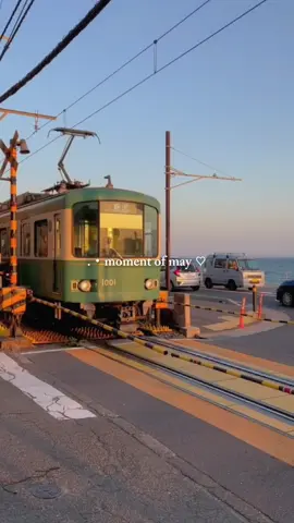 New Templat dump slow vibes#CapCut #ekspresikandengancapcut #maydump #maydump2024 #mayrecap #mayrecap2024 #slowmo #cinematic #templatcapcute #ineverknowwhatyousee #viral #trend #fyp 