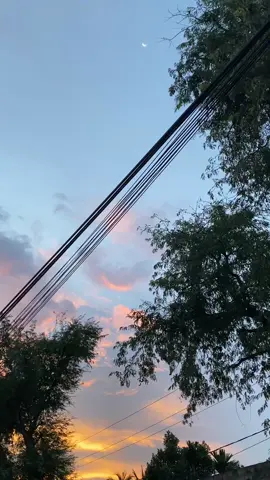 Takdir itu milik allah. Namun usaha dan doa itu milik kita🙂#senjasorehari #arabicsong #musikviral 