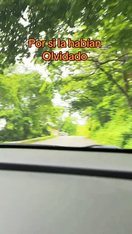 Madrigal, Dany Ribera un temaso sesentero que no te cansas de escuchar❤️❤️❤️#