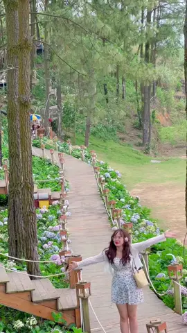 📍 La luna coffee. Quán cf view Đà Lạt nhưng lại ở Hạ Long ạ ❤️ #lalunacoffee #halong #waybackhome #dulichvietnam #trending 