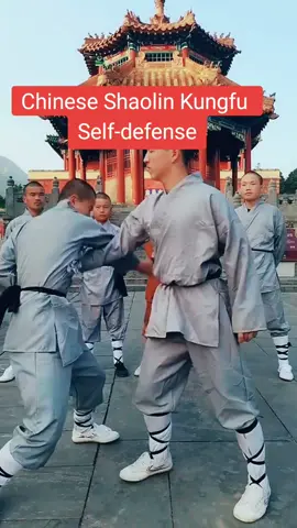 #brucelee #WWE #Outdoors #shaolin #shaolinkungfu #kungfu #tiktok #foryou #Martialart #jeetkunedo #wingchun 