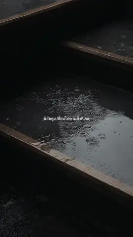 #เธรด #เธรดความรู้สึก #ยืมลงสตอรี่ได้ 🚯