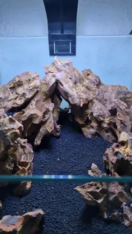 Full Betta fish cave aquarium build video with all tricks you need to build your own beautiful small aquarium  #aquarium #fish #plantedaquarium #freshwatertank 