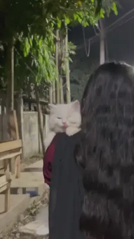 Mashaalllah💜#CapCut #frypgシ #elsabby💜 #catbby #catlovers #trandingvideo #fypシ゚viral 