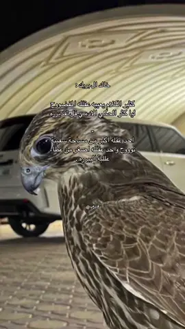 لياا كثر حكي الأدمي قل تقديره ✨ .            #خالد_البريك #نجد_الشيباني 