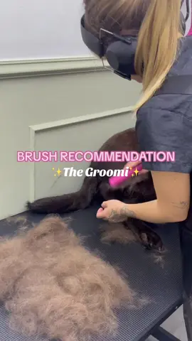 @Groomi Pet Care best brush for those shedding dogs! • • • #dogsoftiktok #doggroomer #fyp #foryou #doggrooming #dogbrushing #dogbrush #shedding #groomingtips #groomi #labrador 