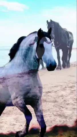 اسطنبول غازي عثمان باشا 