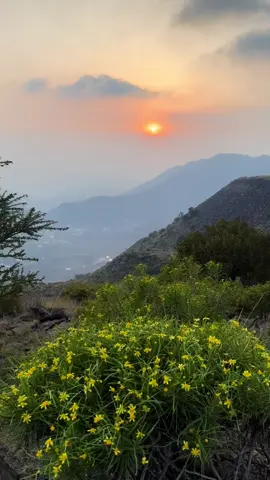 #CapCut #غروب_الشمس_تصويري_تيم_فن🥺❤️ #شيلات_روعه_خواطر_ذوق #ياغروب_الشمس_لله_الكمال #تصميمي🎬 #قالب_كاب_كات_نار_جاهز_استخدموه 