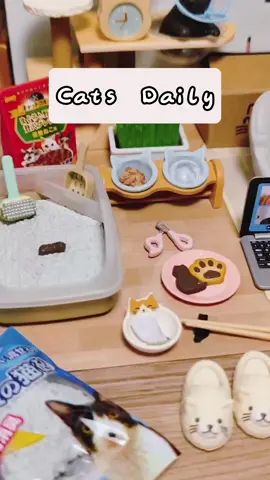 Cats daily #miniatures #miniature #rementjapan #cat 