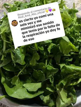 Respuesta a @Real_Amá_Abu_oficial 💛💜👑 #cancer #flypシ #malasanta09 #remedioscaseros #natural 