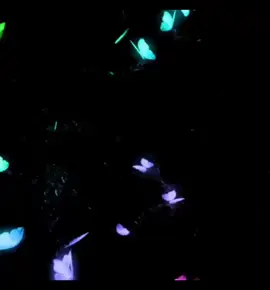 #ittzrega4 #فێركاری_ڤیدۆستار #foryoupage #foryou #videostar #editor 🤍🌚