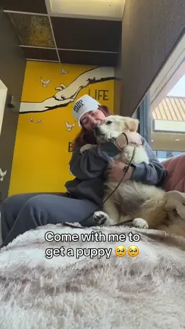 Come with me to get a puppy 🥹🤍 #puppy #puppyvlog #adopt #goldenretrievers #goldenretrieverpuppies #dogvlog #puppytraining #makeupartist #Vlog #dayinmylife 