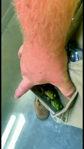 There’s someone out there for everyone 🥰🐸 #Ridiculousness #funny #weird #shocking #surprise #reaveal 