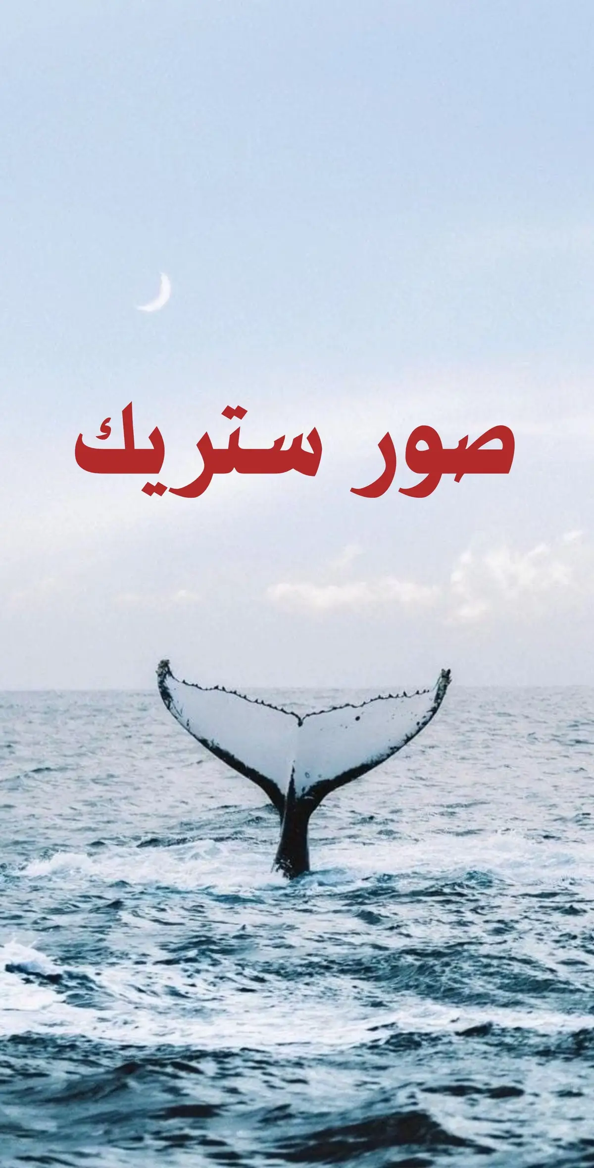 #صور_ستريك #ستريك #ستريك_barsha #صور_كأنها_لك  #tiktok #fyp 