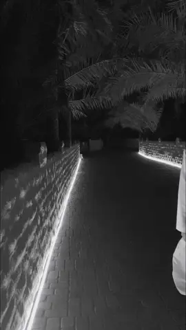 #abudhabi #أبوظبي 