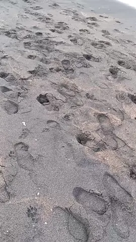 tak ada hidup yang sempurna namun bukan berarti kita bebas bergerak tanpa batas dan aturan etika. Pantai amed merupakan salah satu destinasi wisata yang terletak desa amed kecamatan Abang , kabupaten karangasem Bali.pantai ini sangat jernih dan bagus untuk pencinta snorkeling karna panorama dibawah airnya sangat menawan dihiasi oleh trumbu karang yang indah disertai dengan keberadaan ikan yang beraneka ragam.semoga bermanfaat Rahayu🙏🙏🙏