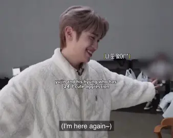 i love mehbokz dynamics so much 😭 #taerae #kimtaerae #yujin #hanyujin #zb1 #zerobaseone #kpop #kpopfyp 