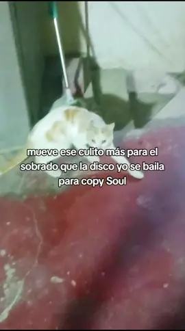 #humortiktok #peru #viral #historias #actuacion #reales 