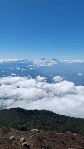 Gunung-gunung yang terlihat dari Gunung Slamet #gunungslamet #gunungslamet3428mdpl #slametmountain #gunung #gunungprau #prau #sindoro #sindoromountain #sumbing #sumbingmountain #merapi #merbabu #cikuray #gununggede #gununggedepangrango #ciremai #ciremai3078mdpl #jelajahpurbalingga #edellweisadventure 