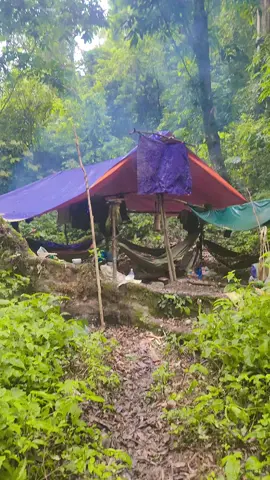 Không sóng điện thoại,không internet,bình yên đến lạ,không khí trong lành và mát lạnh#sinhtontrongrung #xuhuong .