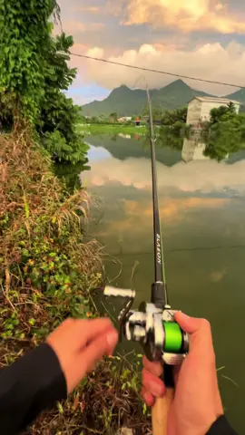 Strike juga dispot gege ini. #fishing #mancing #mancingikan #fishingvideos #fishinglife #fyp #fup #fyppppppppppppppppppppppp  #fypシ゚ 