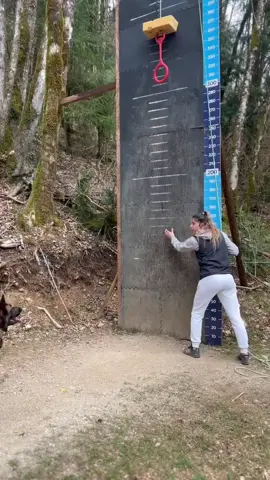 Leap to success: Our German Shepherd shows off impressive skills during jump training, soaring with strength and precision. 🐾  German Shepherds can be challenging for inexperienced owners due to their high energy, intelligence, and need for consistent training and mental stimulation. However, with proper guidance and commitment, they can become highly obedient, loyal, and well-behaved companions. #GSDTraining #JumpToNewHeights