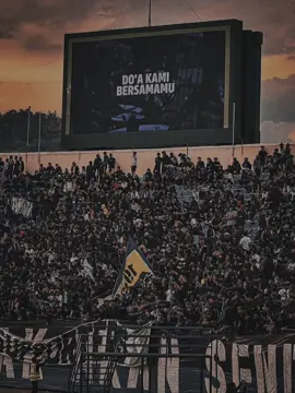 #persibbandung #persibiswonderful #vikingpersibclub💙🐯 