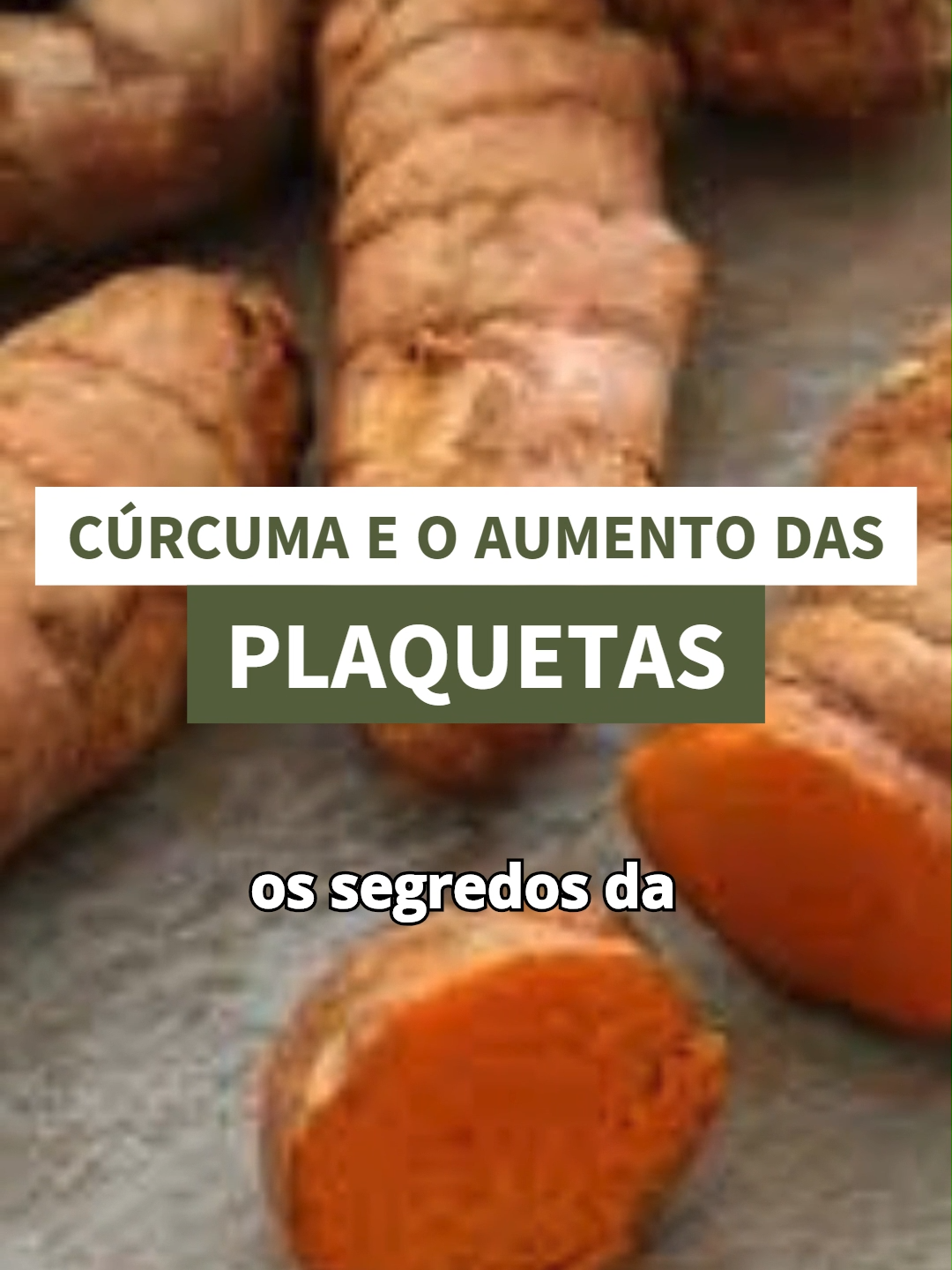 CÚRCUMA PARA A SAÚDE PLAQUETÁRIA #curcuma #plaquetas #tiktok #aromaterapia #beneficios #remedionatural #cha #remedioscaseros #beneficiosdosalimentos #beneficiosdasplantas #dicas #fitoterapia #medicinanatural #plantasmedicinais #saude #saudenatural #nutricao #tratamentonatural