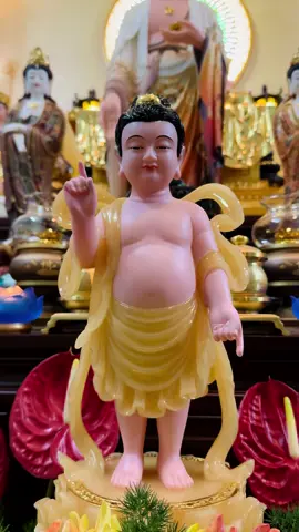Thế Tôn vẻ đẹp tuyệt vời