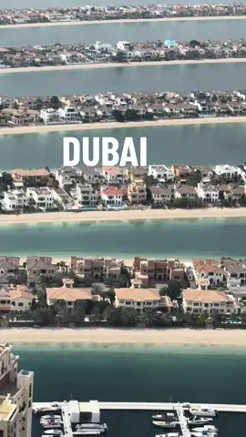 Good Morning Dubai 🇦🇪 Visit UAE  #ilovedubaidosti #shahiddosti #unfrezzmyaccount #VisitDubai 