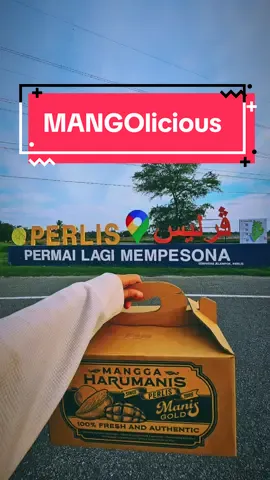 READYSTOCK!! #Harumanis #tahunmelawatperlis2024 #MempelamFarm #OriginalPerlis #fyp #fypシ #PerlisInderaKayangan #Mangolicious 