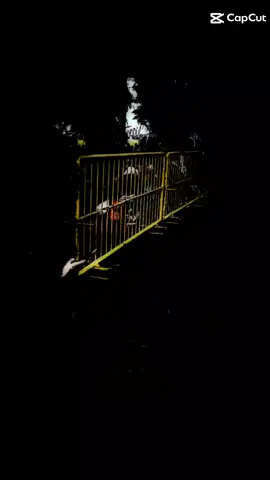 ဟာ...😢🤣.အေးဆေးမfeelရဘူး.ဘေးနားကနေရီနေလိုက်😖😖@🥑မပုလေး🥑ရမည်းသင်းသူ🥑 