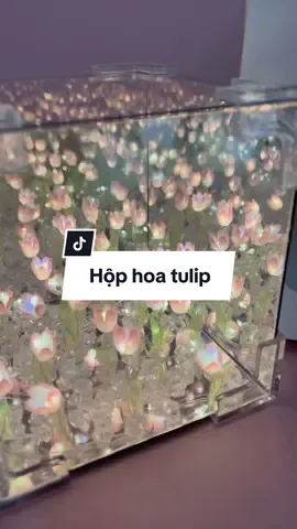 Hộp hoa đèn ngủ Hoa Tulip cô gái nào cũng muốn có #trend #viral #xuhuong #tulip 