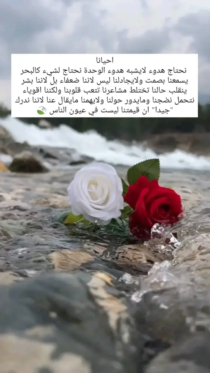 #لاتشاهد_وترحل_دعنا_نرى_لك_اثر_طيب🌹 #ستوريات #viral #fypシ 