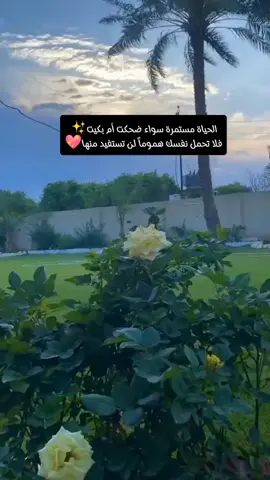 #capcut #اقتباسات_عبارات_خواطر #نتجاهل_ليبقى_الود_مستمراً #مقولات #موسيقى_تركية #دموع_الورد 