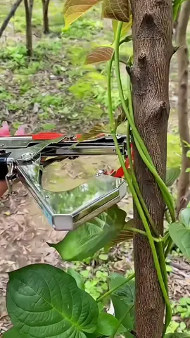 Dùng cái này tiện ghê các bác. #kipkepdayleo #kepdayleo #dungcukepdayleo 