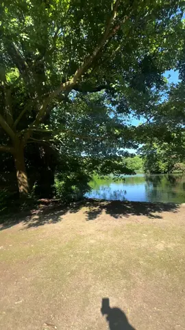 Eu amo muito 🍃🥹💖 #corrida #natureza #fyyyyyyyyyyyyyyyy 