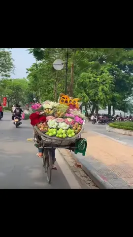 Paling seneng banget liat bunga dari dulu suka banget sama bunga kadang klo ada yg kasih bunga suka di simpen sampe kering🥹🤭#sekedarkata #pencintabunga #♥️💐🌹🥀🌷🌺🌸🏵️🌻🌼♥️🥀♥️ 