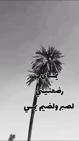 #ونين #ريفي #يونس_العبودي #صعدو_الفيديو #لايك__explore___ #متابعه_ولايك_واكسبلور_احبكم 
