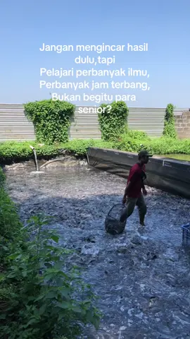 🫡🫡 #ikan #lele #ikanlele #ikanlelekonsumsi #kolamlele #petanimuda #petanilele #budidaya #budidayaikan #budidayalele #peternakmuda #pengusahamuda #sukamaenlele #motivasi #senior #bosmuda #fyp #fypage #foryou #foryoupage @Elinn✨ 