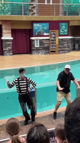 Ben the mime #tomthemime  #reels #reelsviral #reelsvideo #reelsfb #reels2024 #funnyvideos #funnymemes #funnyreels #viral #trending #funnyreels2024 #fypシ #fypシ゚viral #fyp #shortvideos #instagramreels #goodvibes #fbreels #viral #trending #trendingreels #fbreels24 #fbreelsfbreelsvideo #viralpage #funnyclips #tiktokviral #tiktoktrending #tiktokfunnyvideos #humor   #instagram #instagramreels #totan #totanthemime #seaworldorlando #seaworld