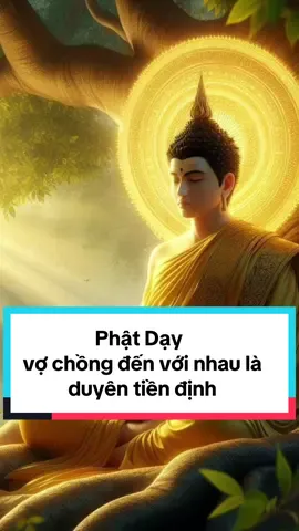 Phần 103: Phật dạy vợ chồng đến với nhau là duyên tiền định #phatphapnhiemmau79 #nammoadidaphat #fyp #CapCut #vochong #duyentiendinh  @Phật Pháp Nhiệm Màu  @Phật Pháp Nhiệm Màu  @Phật Pháp Nhiệm Màu 