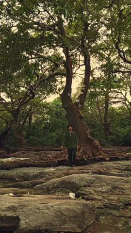 අවසන් නොවන ප්‍රෙම් ප්‍රාර්ථනා..🙇3🌼🍃 @𝙋𝙤𝙪𝙩𝙮 💜️  #foryou #fypシ #fyp #pouty_me #foryoupage #sad #heartbroken #1m #pain #1millionaudition #pouty_you🥺 