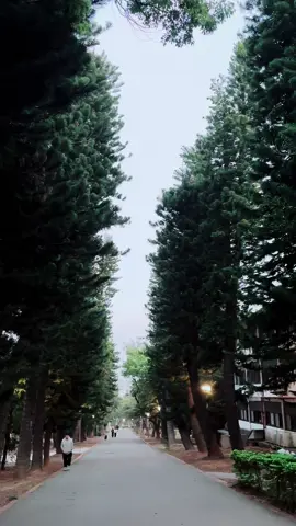 There are days like that, quietly, not sad, not happy, slowly drift…#taiwanlife 
