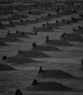 رابط قناة التليجرام في الصفحه ❤️ #طبارقه🔱❤️ #الجبل_الاخضر #اللهم_حسن_الخاتمة🎴 