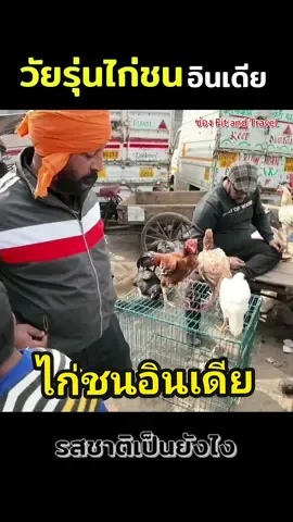 รีวิววัยรุ่นไก่ชนอินเดีย #fitandtravel #อินเดีย #india 