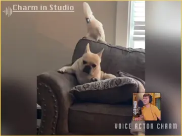 ဟိုတယ်ကြက် (ခိုးယူပြန်တင်ခွင့်မပြုပါ) #charminstudio #voiceactorcharm #cis 