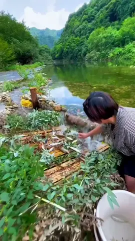 Summer is good, we can come to the river to catch fish #river  #mountain  #sky 